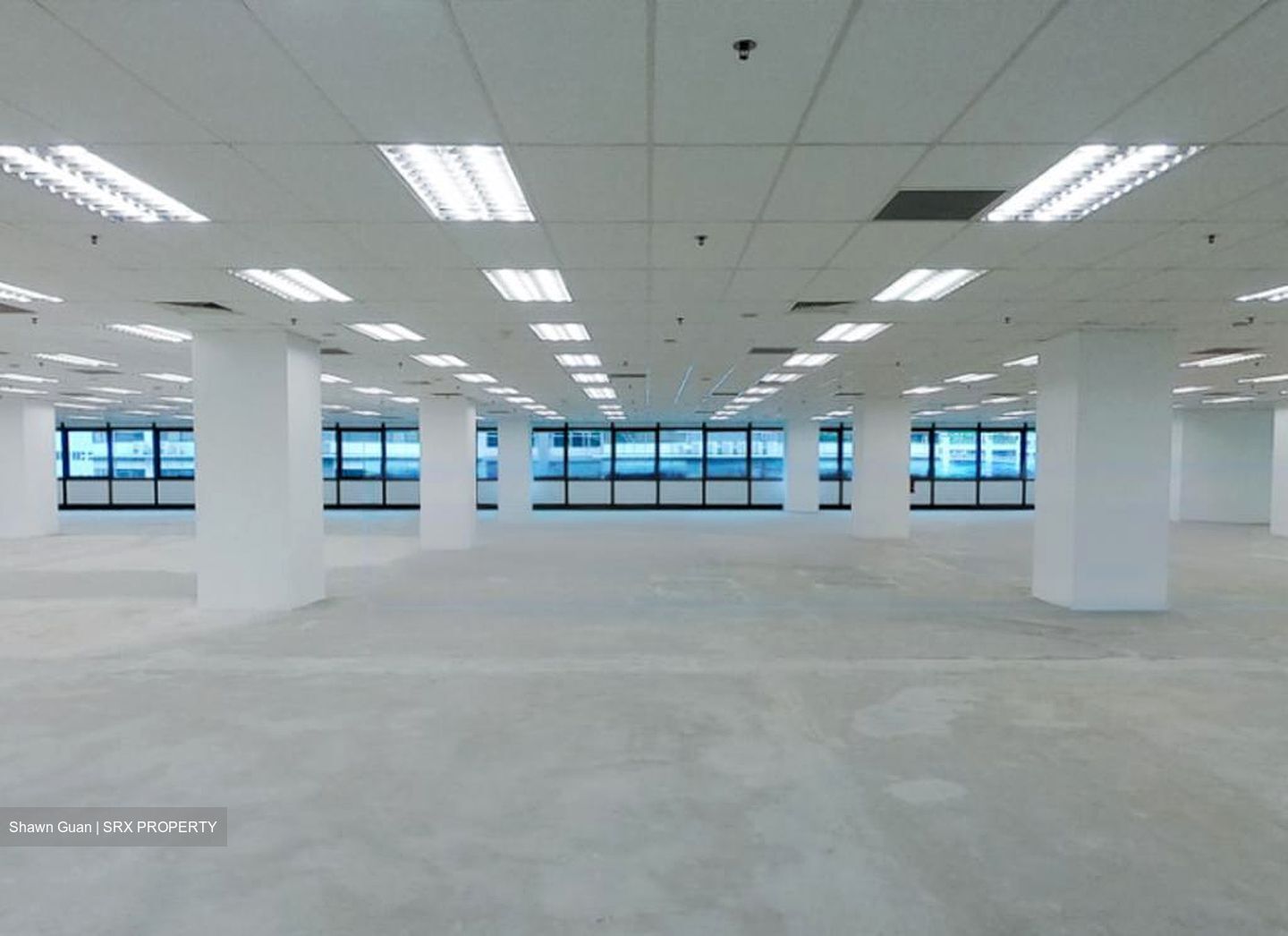 Bendemeer Road (D12), Office #451949251